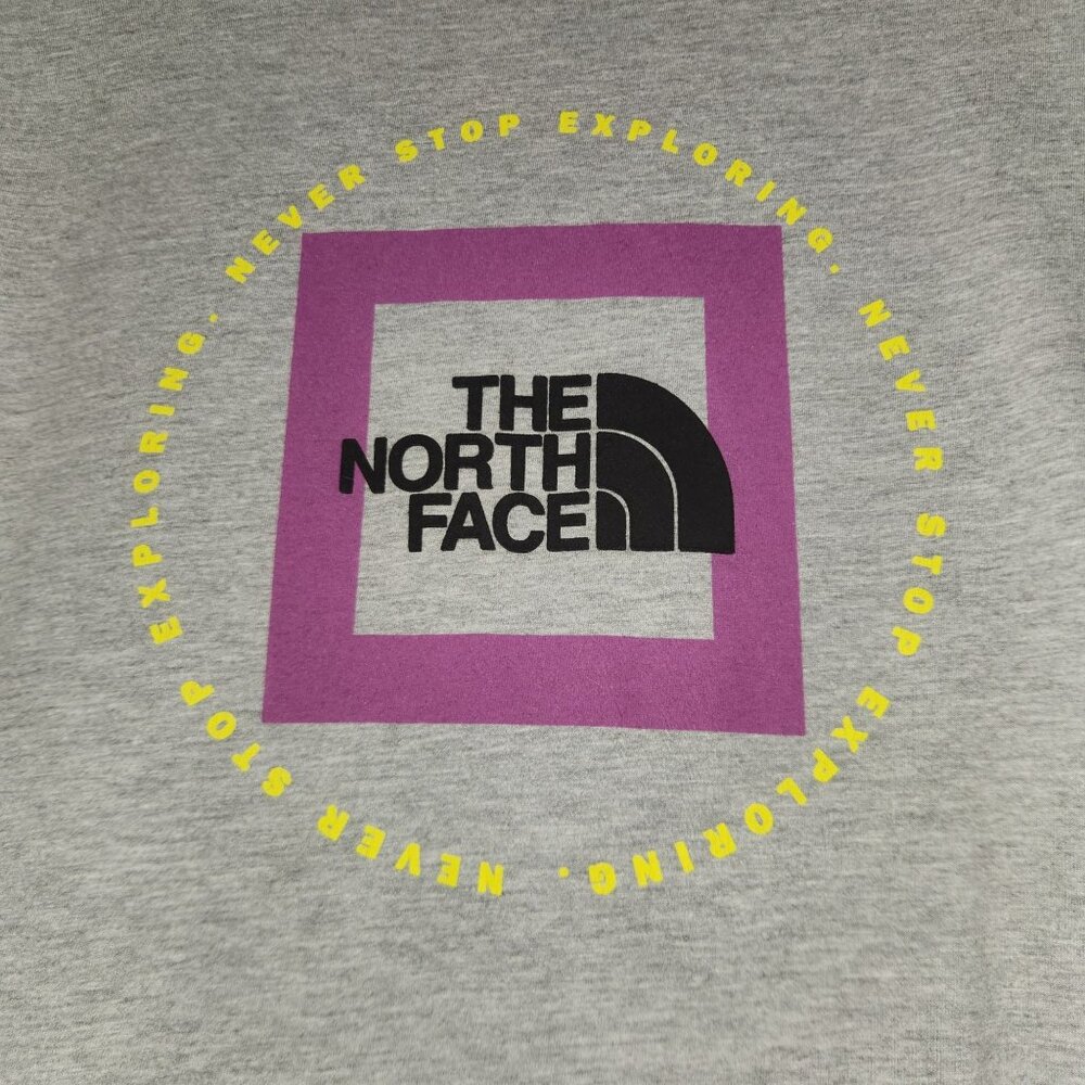 Gray Short Sleeve The North Face T-shirt in Gray with Logo Print